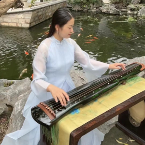 葬花吟——古琴