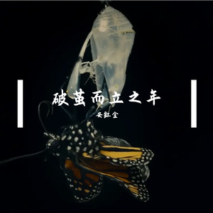 破茧而立之年