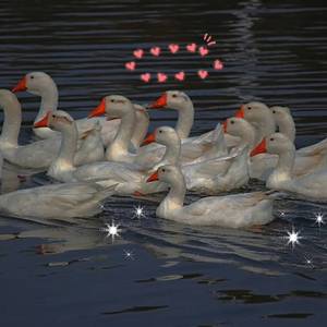 祝你爱我到天荒地老