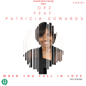 When You Fall In Love (Opz Dub Mix)