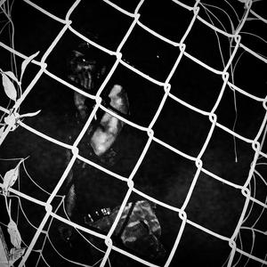 NEVA TURN YA BACK ON A DOPE FEIN (feat. X2BLACKSTAR)