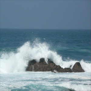 I Still Love You More Than Ever