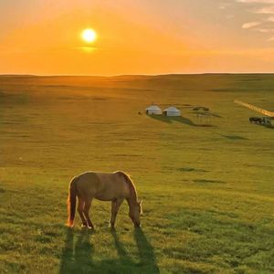 乌兰巴托的夜 男女合唱版