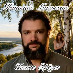 Белые берёзы