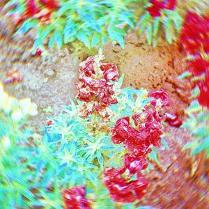 我们必须想象西西弗斯是幸福的（outro）