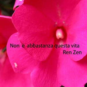 Non è Abbastanza Questa Vita