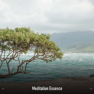 Higher Level Thinking