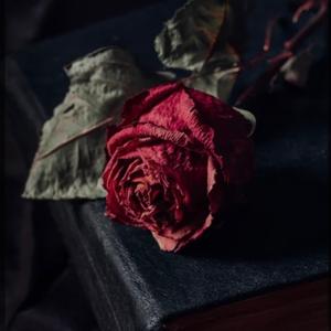 Dumby (feat. Saucey Tha Goat & $Moneybagg $avage)