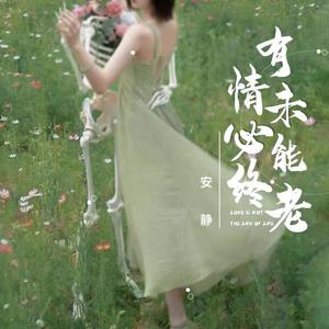 有情未必能终老 (伴奏)