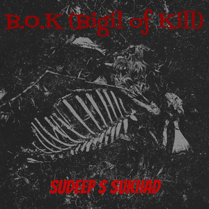 B.O.K (Bigil of Kill)