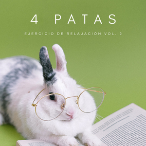 Música Para Gatitos