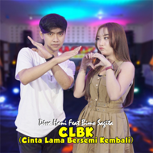 Clbk (Cinta Lama Bersemi Kembali)