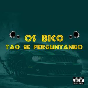 OS BICO TAO SE PERGUNTANDO FUNK