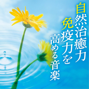 Bringing The Gentle Wind