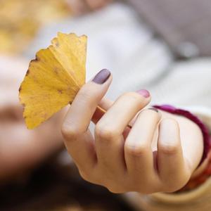 秋雨乱序Prod by 今晚吃鱼丸