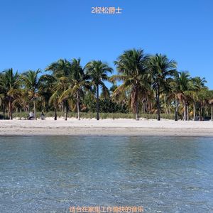 办公室工作安静的波萨诺伐舞曲