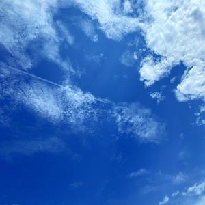 同样怀揣梦想的我们