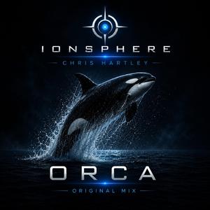 Orca