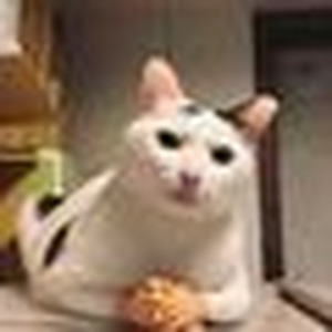 t h e . c l i m b . b a c k (sped up)