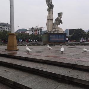 家（翻自 Beatz Era）