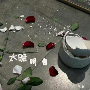 太晚明白 (降调版)