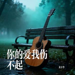 你的爱我伤不起