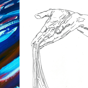 A Shark Called Nancy