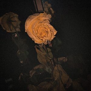 ЛУЧИК (slowed & reverb)