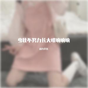 欢迎来到西双版纳