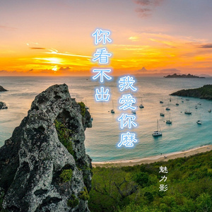 你看不出我爱你么