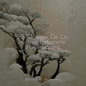 Abrazo de Armonía Resonante