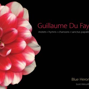 Je me complains piteusement