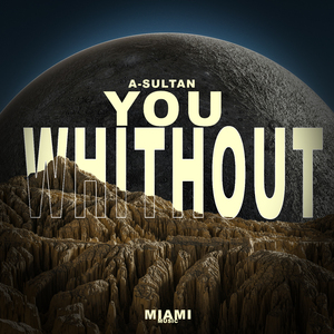 Whithout You