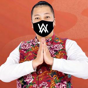 大东北是我的家乡&AlanWalker（带派不老铁）
