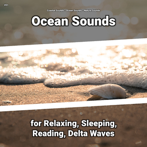 Ocean Sounds