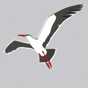 သူငယ်ချင်းများ