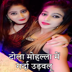 Tola Mohalla Me Garda Udavalu