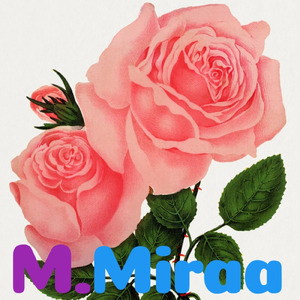 ホーリーマザーハンは本物のマリア (ポルトガル語)