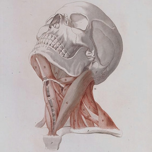 イントロ：未来の影