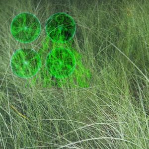 阳光种植与绿色系魔法能量(o゜▽゜)o☆