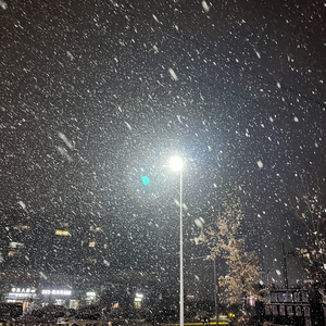 冬夜（snowflake）