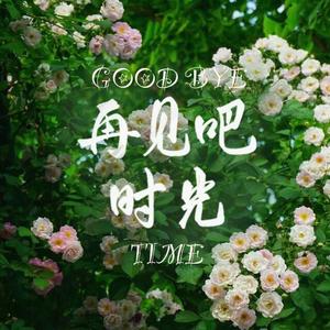 再见吧，时光