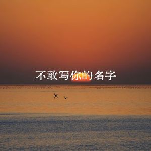 不敢写你的名字