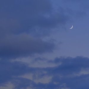 没离开过（车上）