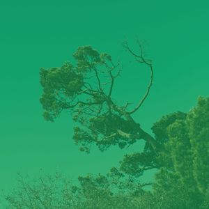 一尘不染温泉印象数