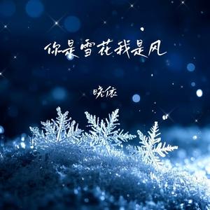 你是雪花我是风
