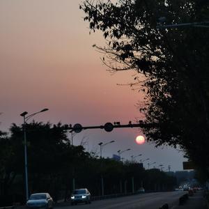就叫我爱你吧