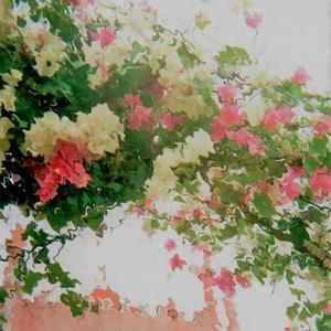 Mulier (Organic Fabrique Remix) (Organic Fabrique Remix)