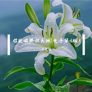 信徒临终归天城(电子琴dj版)