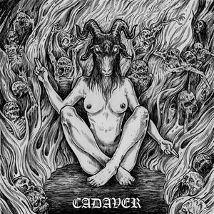 Cadaver